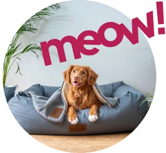 mypetworld.ae