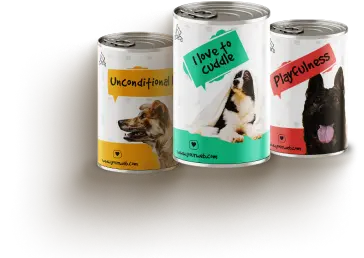 mypetworld.ae