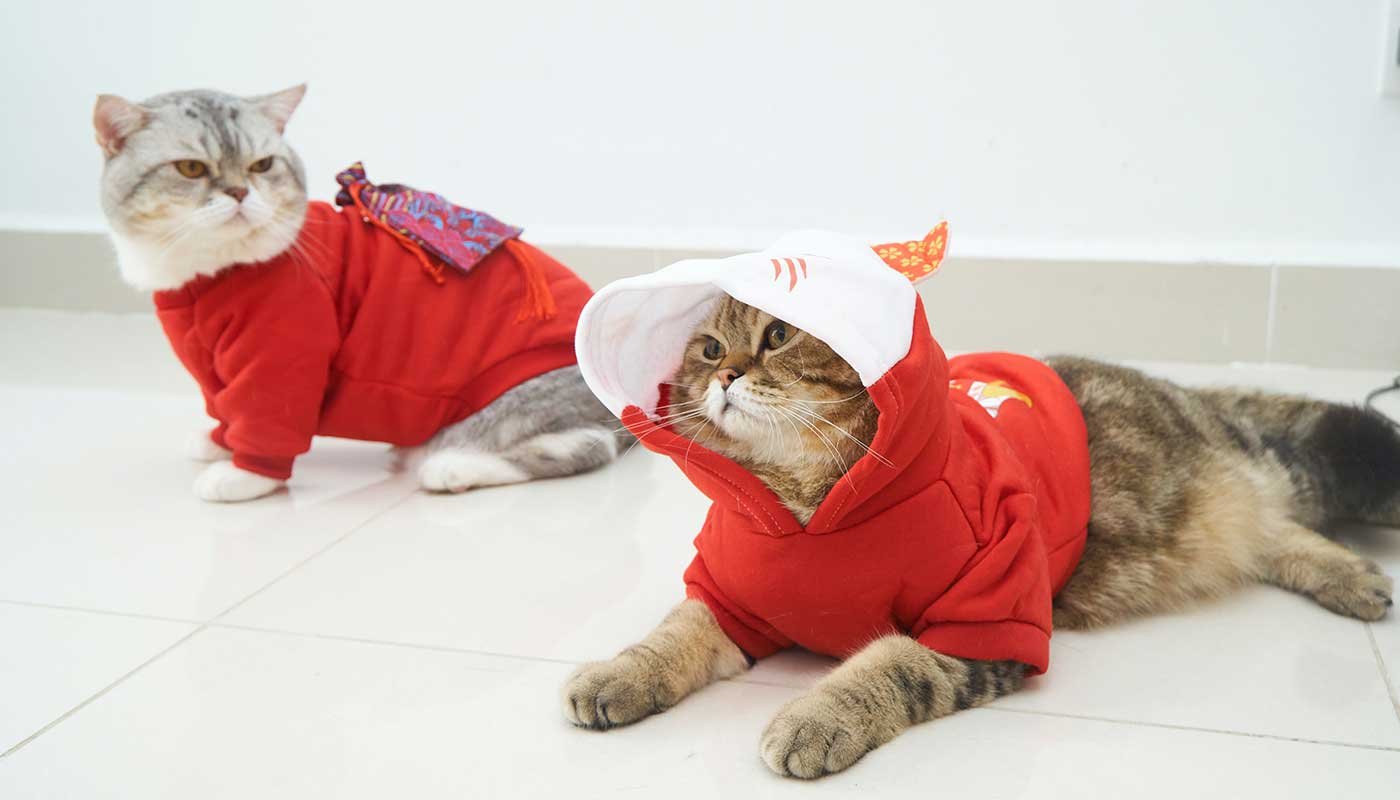 mypetworld.ae