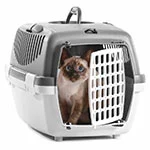 mypetworld.ae