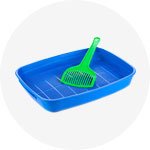 mypetworld.ae