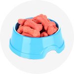 mypetworld.ae